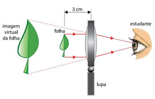 uma pequena folha em detalhes, um estudante utiliza uma lente esférica convergente funcionando como lupa