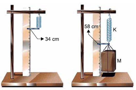 uma mola ideal de constante elástica K = 300 N/m à qual está presa uma haste horizontal que aponta para uma posição em uma régua vertical graduada em centímetros. Com a mola livre e relaxada, a haste aponta para a marca de 34 cm e, com o pacote pendurado na mesma mola e em equilíbrio, a haste aponta para a marca de 58 cm.